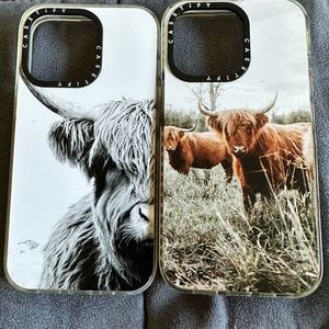 Casetify 13 Pro Case